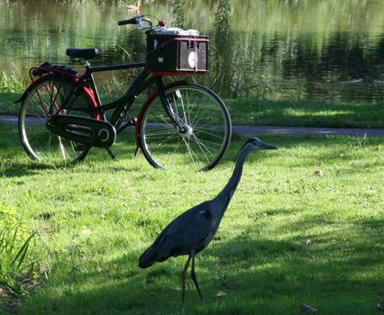 drooderfiets and grasshopper